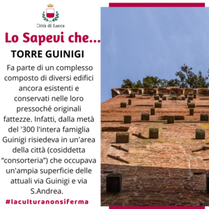 torre guinigi 2