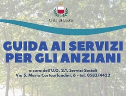 la guida agli anziani