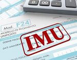 logo imu