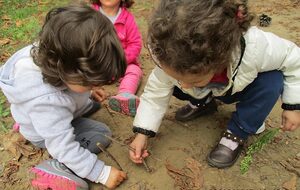Proposte di esperienze con i bambini
